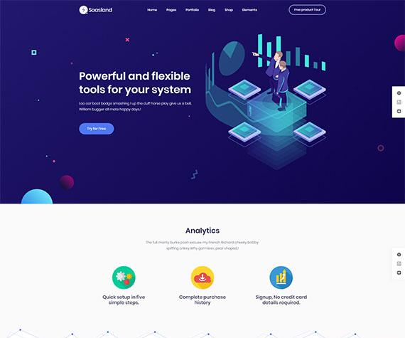 Saasland analytics page